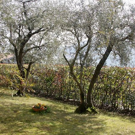 Sarnico Giardino Sul Lago Extérieur photo